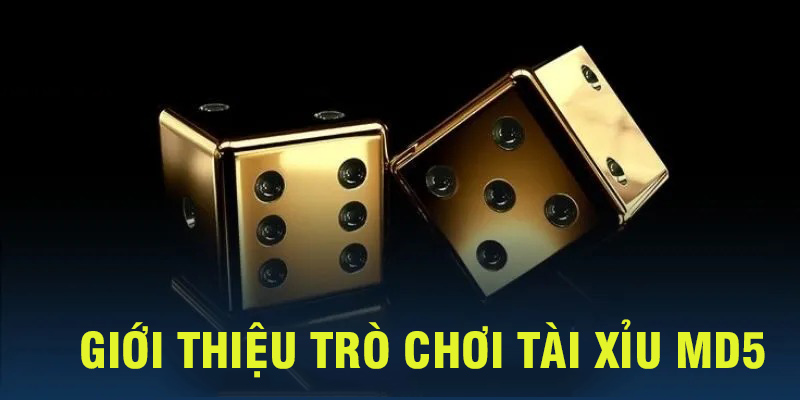 Một vài thông tin giới thiệu về trò chơi tài xỉu MD5