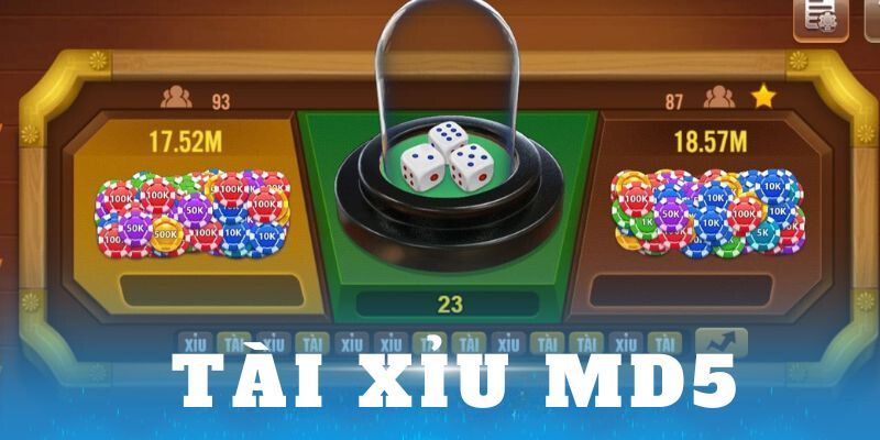 Hướng dẫn hội viên tham gia chơi tài xỉu MD5 tại 23win