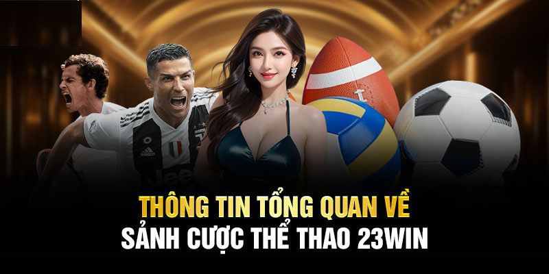 Thông tin sơ lược về nền tảng cá cược thể thao 23WIN